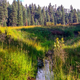 Image for article titled Meet Your Three New National Monuments